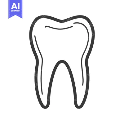 A simple black and white illustration of a single molar tooth