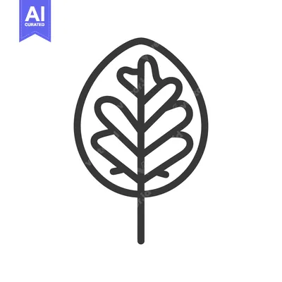 Popular premium asset: A simple black and white outline drawing of a leaf
