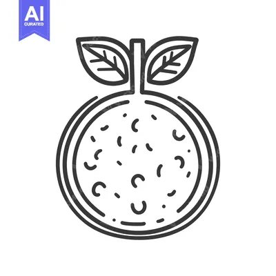 Aset desain premium: A simple black and white illustration of a fruit with leaves