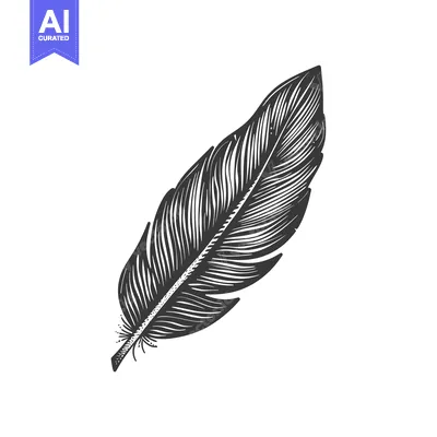 Premium design asset: Detailed Black and White Illustration of a Single Feather