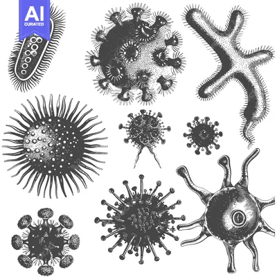 Detailed Illustrations of Various Microorganisms
