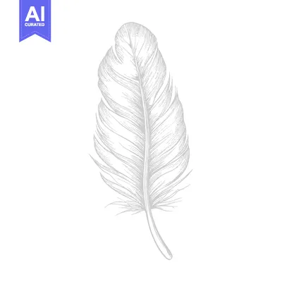 Premium design asset: Detailed Line Drawing of a Single Bird Feather