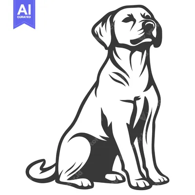 Popular premium asset: Black and white illustration shows a sitting dog looking upwards