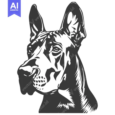 Popular premium asset: A black and white illustration of a large dog head