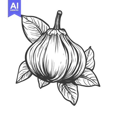 Aset premium populer: An illustrated drawing of a fruit surrounded by several leaves