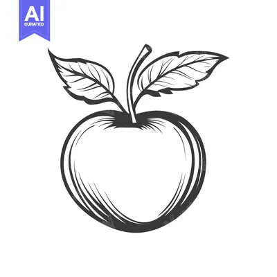 Aset premium populer: A simple drawing depicting a single apple with its leaves