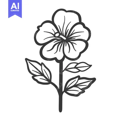 Popular premium asset: A single black and white outline drawing of a flower
