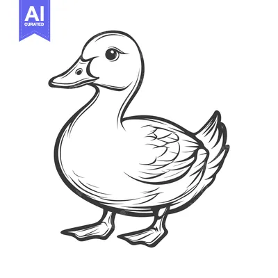 Premium design asset: A black and white sketch depicting a standing duck