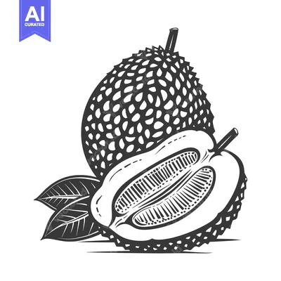 Aset premium populer: Durian fruit with a spiky outer shell and a half-cut section revealing