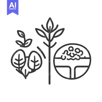 Popular premium asset: Line art depiction of plants and cross section of root