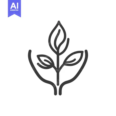 Aset premium populer: A black and white drawing of plant held by hands