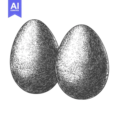Aset premium populer: Two Eggs Drawn in Vintage Style Illustration
