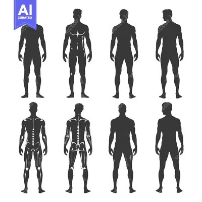 Aset desain premium: Eight Silhouettes of a Male Figure in Different Poses