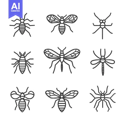 Popular premium asset: Simple Outline Drawings Depicting Various Insects And Flying Bugs
