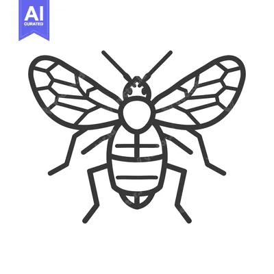 Aset desain premium: A simple stylized black and white illustration of an insect