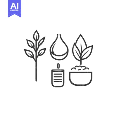 Premium design asset: Illustration showing plants with water and a lit candle below the drop