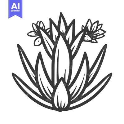 Aset desain premium: A black and white illustration of a stylized floral plant