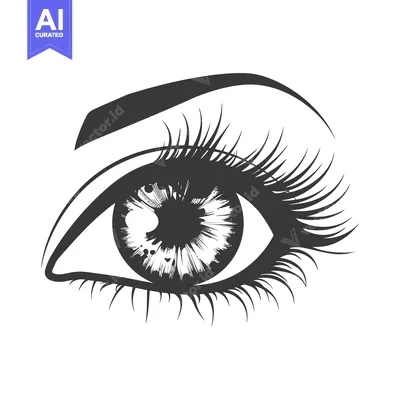 Popular premium asset: A detailed artistic illustration depicting a single human eye