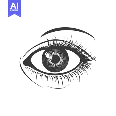 Detailed drawing depicting a single human eye with long eyelashes