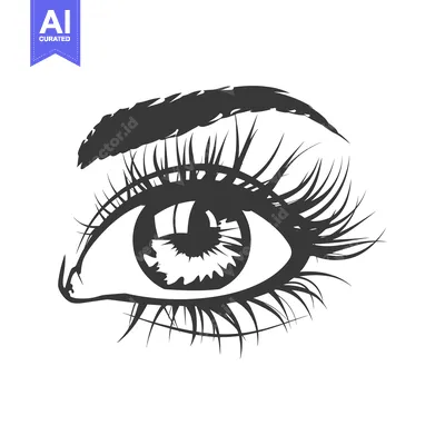 Premium design asset: A black and white illustration of a detailed human eye
