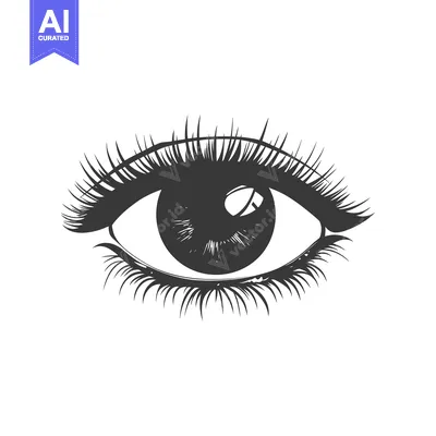 Popular premium asset: A detailed illustration featuring a single human eye with lashes