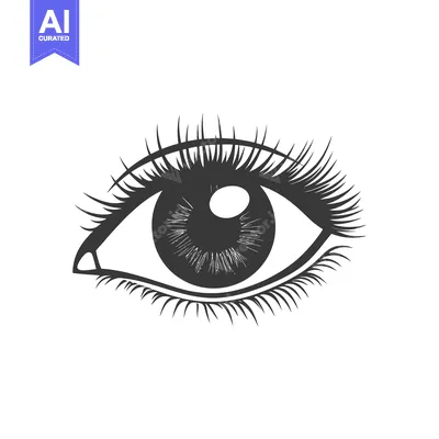Popular premium asset: A detailed black and white drawing of a single human eye