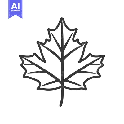 Aset premium populer: Simple black and white graphic depiction of a single maple leaf