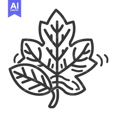 Premium design asset: A detailed black outline of a leaf with veins depicted
