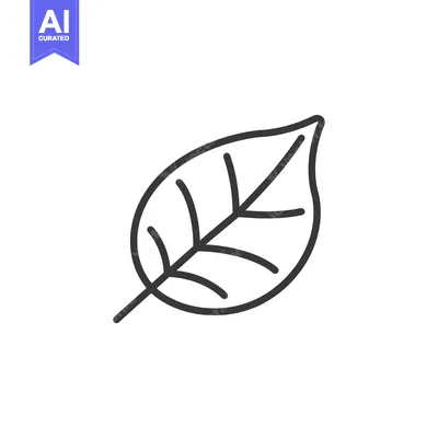 Premium design asset: A simple monochrome drawing of a single leaf vector