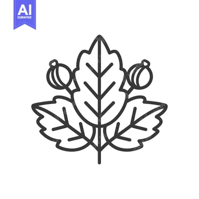 Aset desain premium: A symmetrical illustration depicting several leaves and small berries