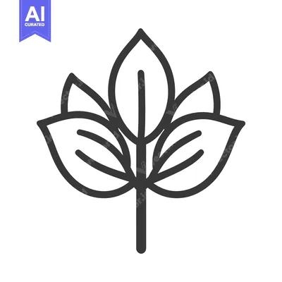 Aset desain premium: A simple botanical illustration depicts multiple connected plant leave