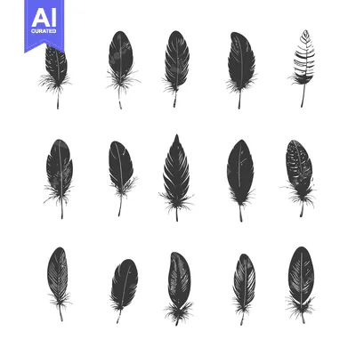 Aset premium populer: Several grayscale feathers displayed on a white background in a grid