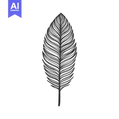 Aset desain premium: An elegant black and white illustration of a feather with details