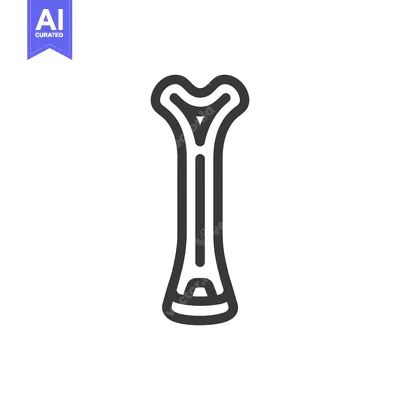 Aset desain premium: Stylized Bone Icon: Anatomical Outline with Bold Stroke on White