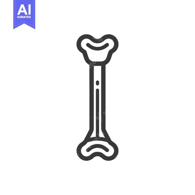 Aset premium populer: Minimalist Bone Icon: Anatomical Outline on White Background