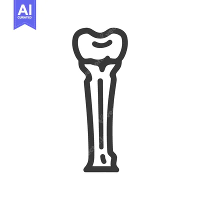 Aset premium populer: Stylized Bone Icon: Anatomical Outline in Bold Black