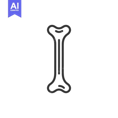 Aset premium populer: Simple Bone Icon: Anatomical Outline on White Background