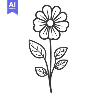 Aset premium populer: A simple black and white line drawing of a daisy flower