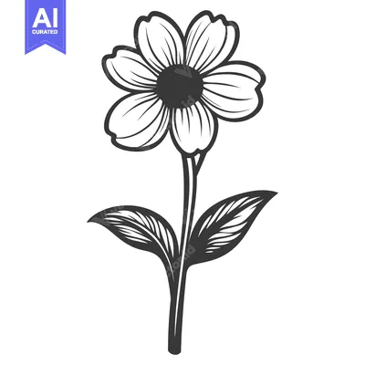 Premium design asset: A simple black and white illustration depicting a single flower stem