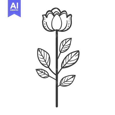 Premium design asset: A simple black and white illustration of a blossoming flower