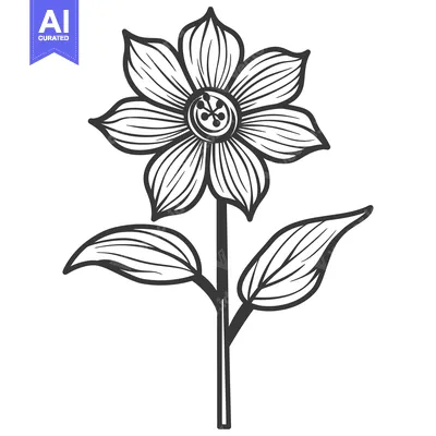 Popular premium asset: Detailed monochrome drawing of a beautiful flower with leaves