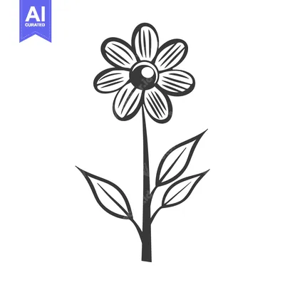 Popular premium asset: Simple black and white drawing of a detailed daisy flower