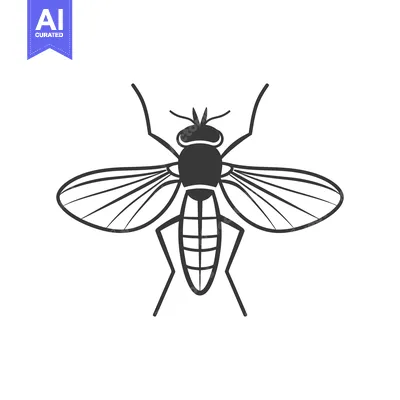 Aset premium populer: An illustrated black and white image of a flying insect