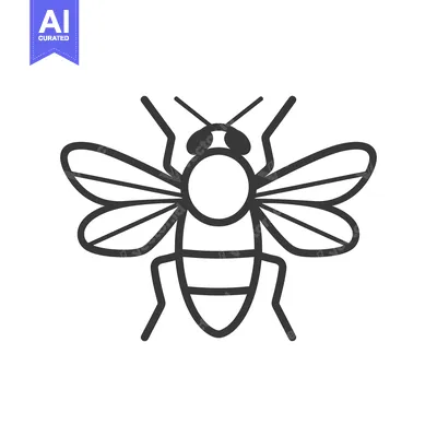 Popular premium asset: A black and white illustration of a flying insect