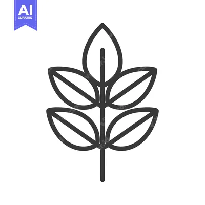 Aset premium populer: Detailed simple graphic illustration of a plant leaf branch