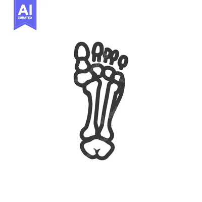 Anatomical Foot Illustration: Simplified Bone Structure in Monochromat