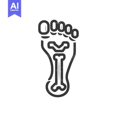 Aset desain premium: Foot Anatomy Outline: Detailed Bone Structure Illustration on White Ba
