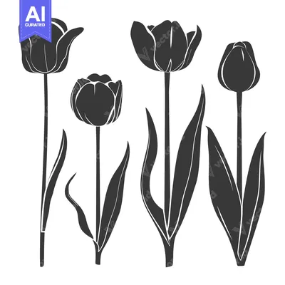 Popular premium asset: Four Black Silhouettes of Tulips with Stems and Leaves
