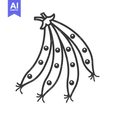Aset premium populer: Four Pea Pods with Multiple Peas Inside, Line Drawing