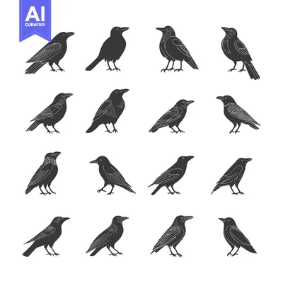 Download Fourteen Black and White Silhouettes of Crows in Various Poses Vector Graphic